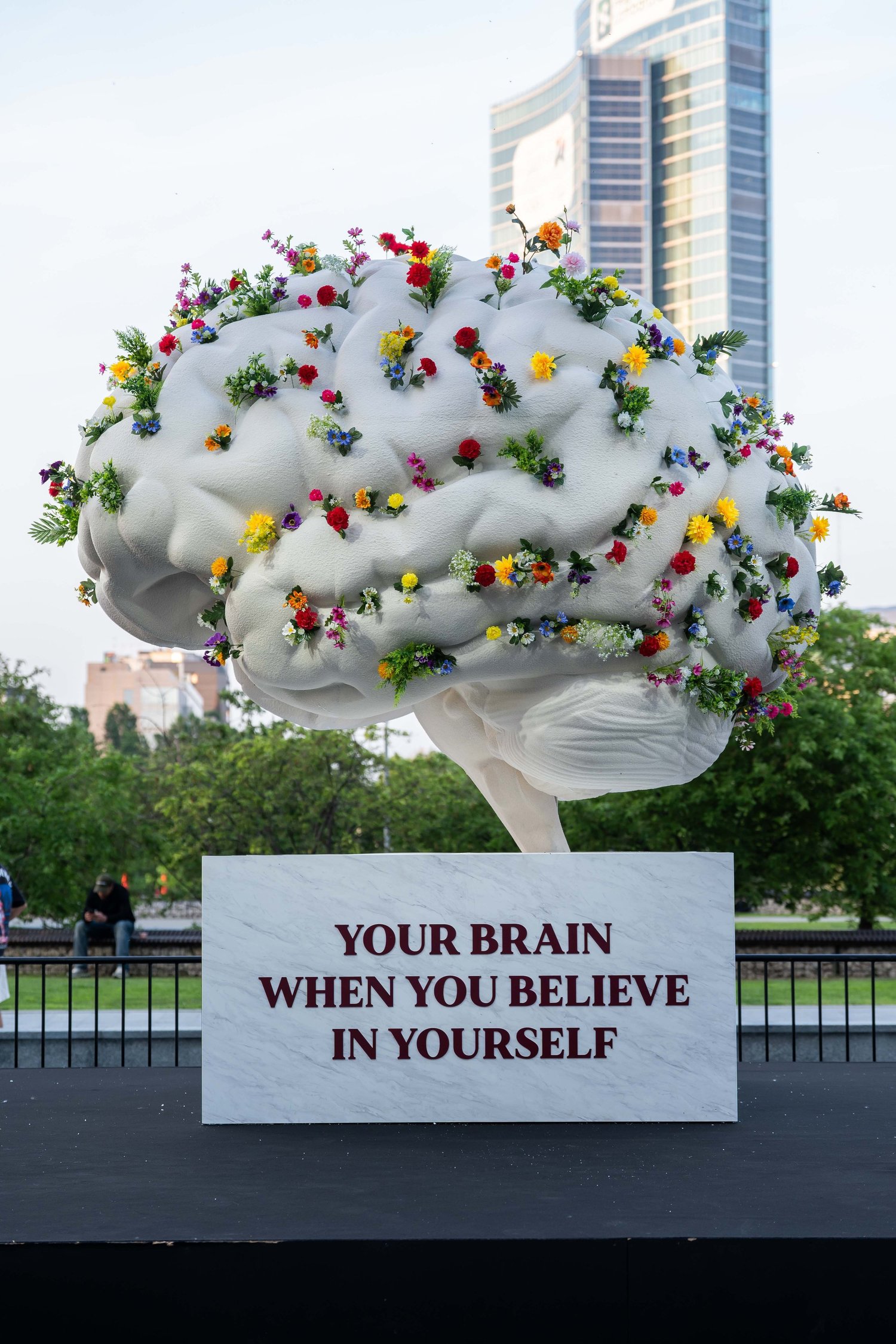 Your Brain When You Believe in Yourself